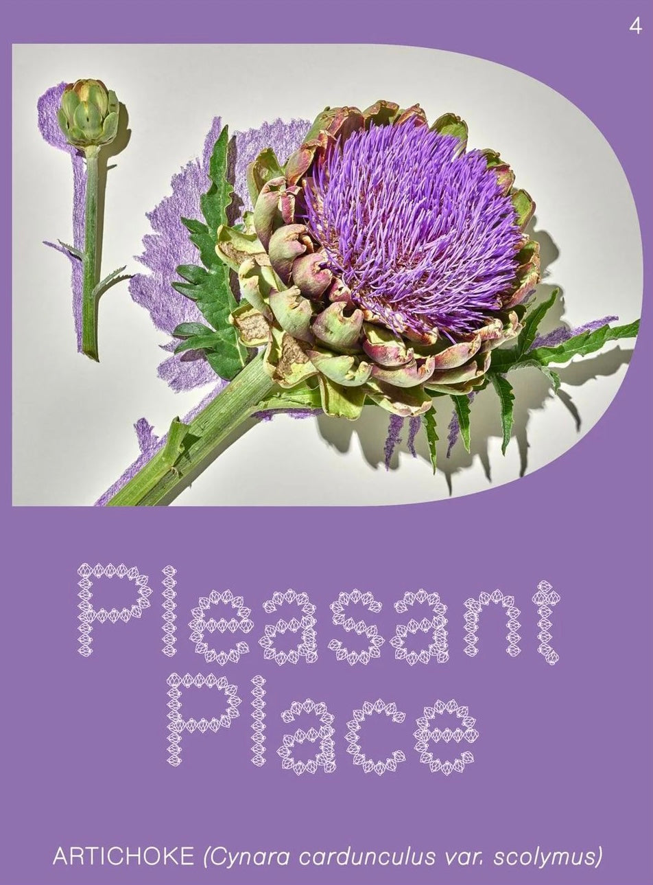 Pleasant Place #4: Artichokes