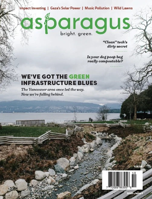 Asparagus, 2025