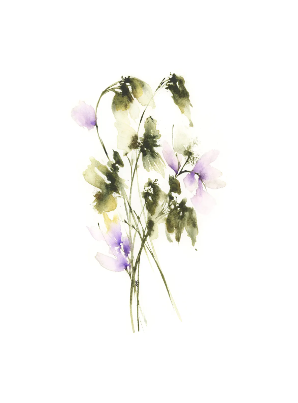 Windswept Violets, Study