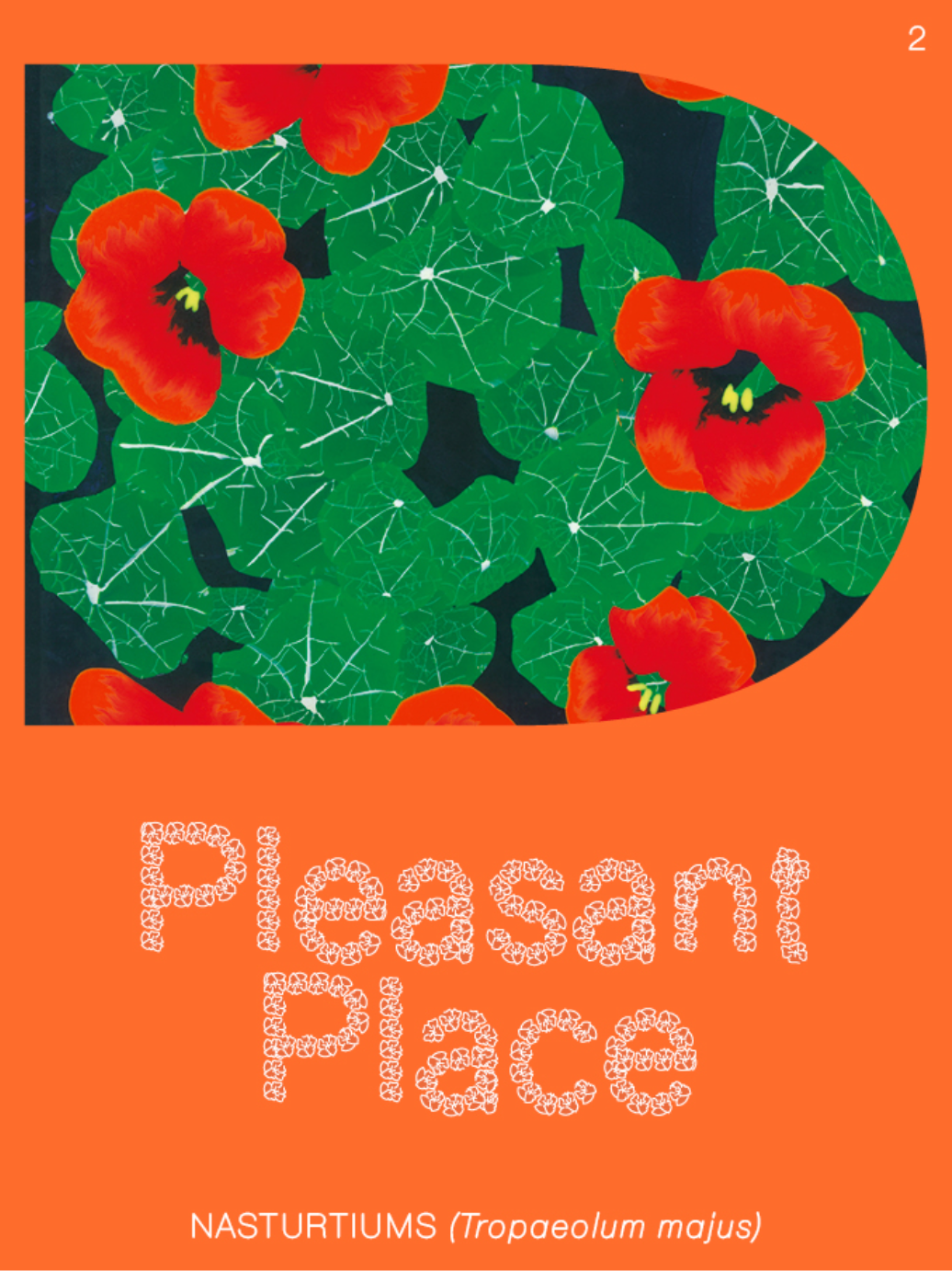 Pleasant Place #2: Nasturtiums