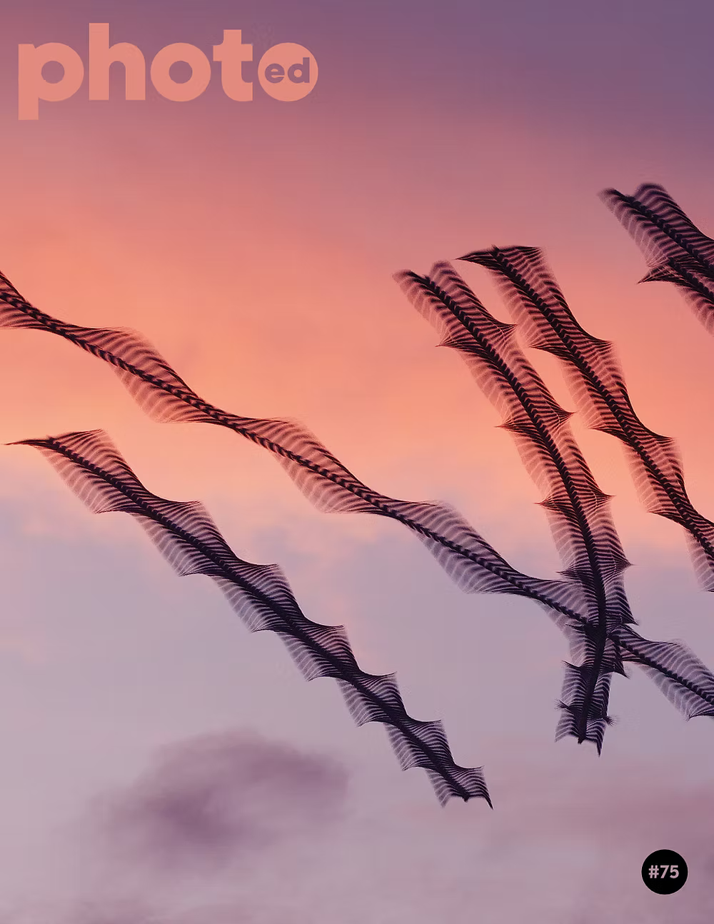 PhotoED #75