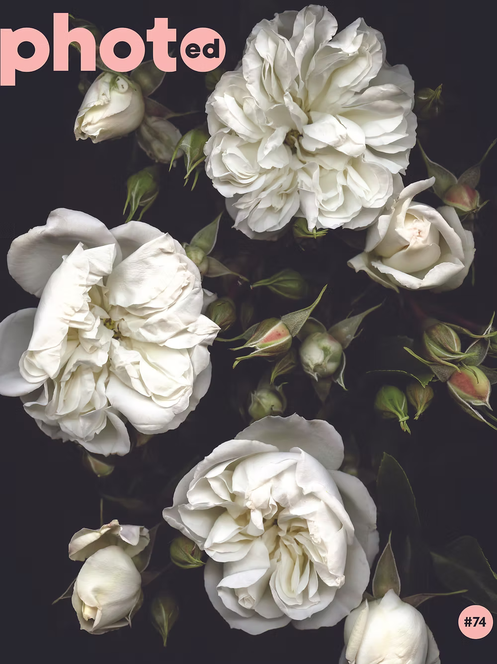 PhotoED #74