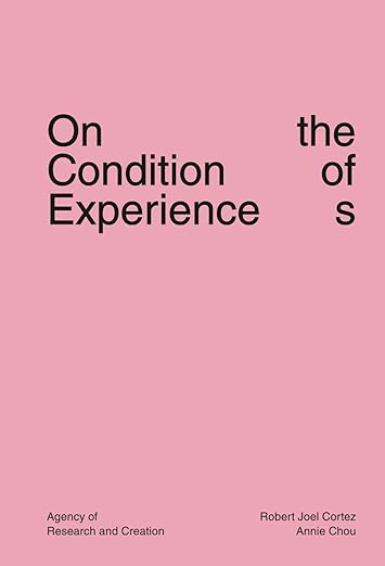 On the Condition of Experiences