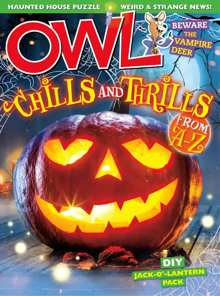 OWL, October 2026