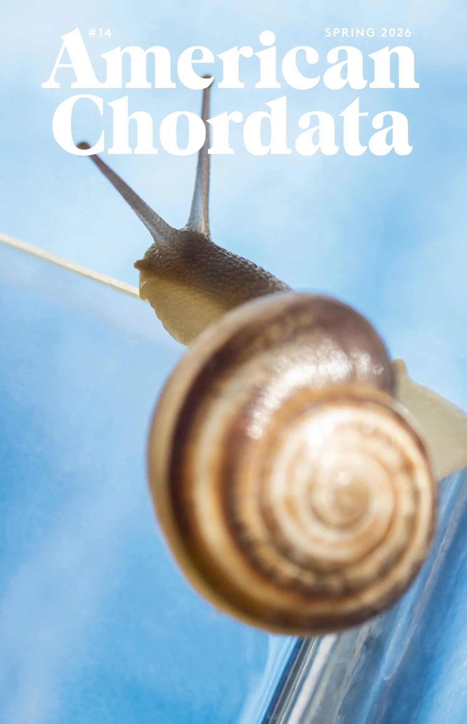 American Chordata #14