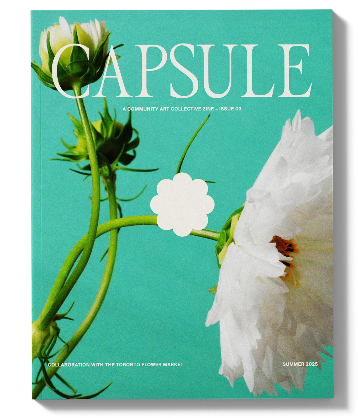 Capsule #3