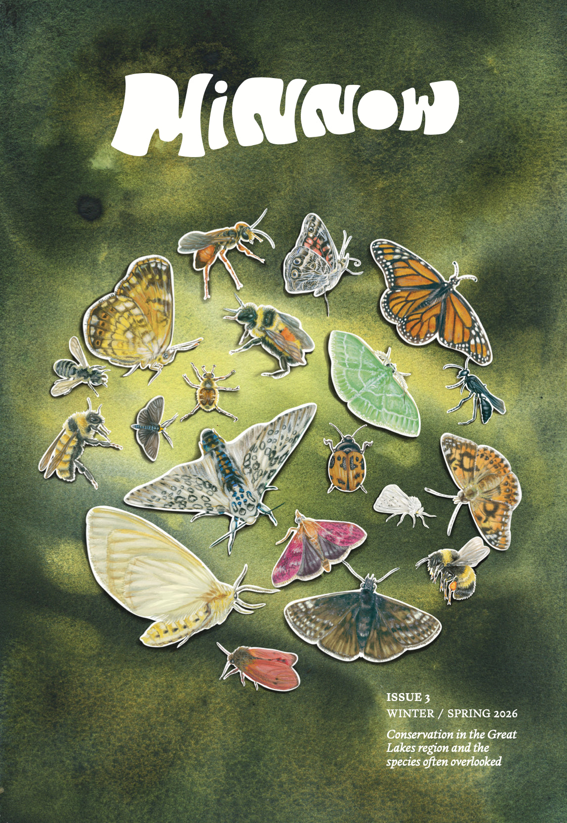 Minnow #3