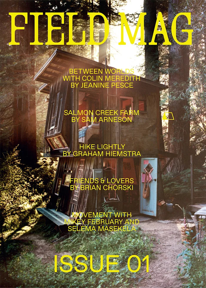 Field Mag 01
