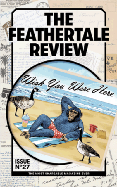 The Feathertale Review #27