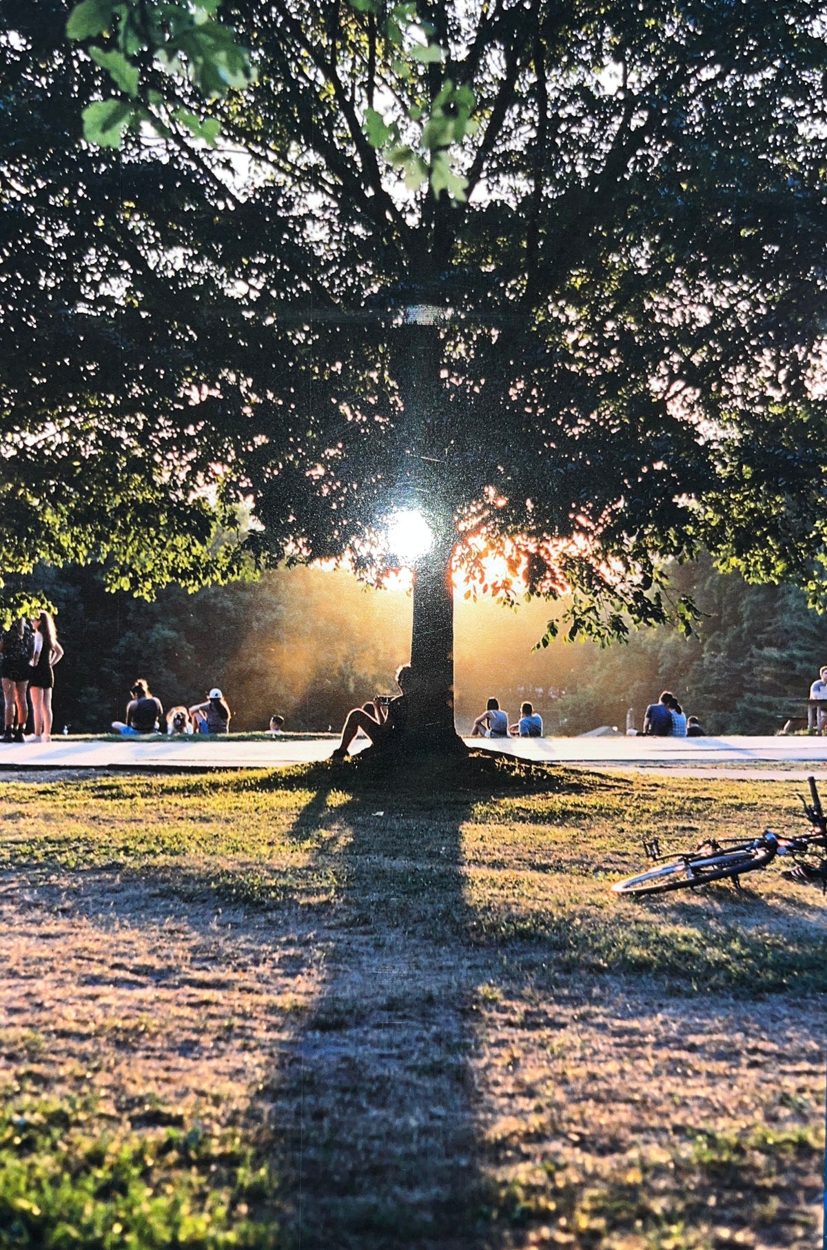 Memento Post Card Series: Trinity Bellwoods Park