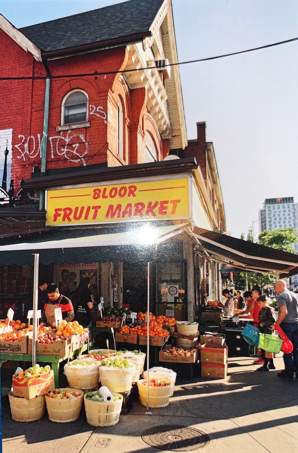 Memento Post Card Series: Bloor Street Fruit Market