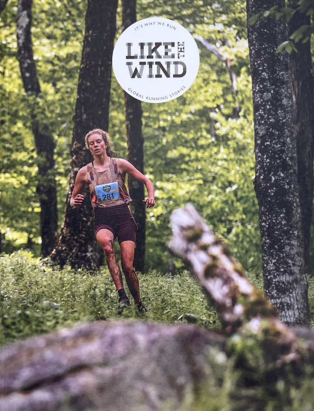 Like The Wind #46