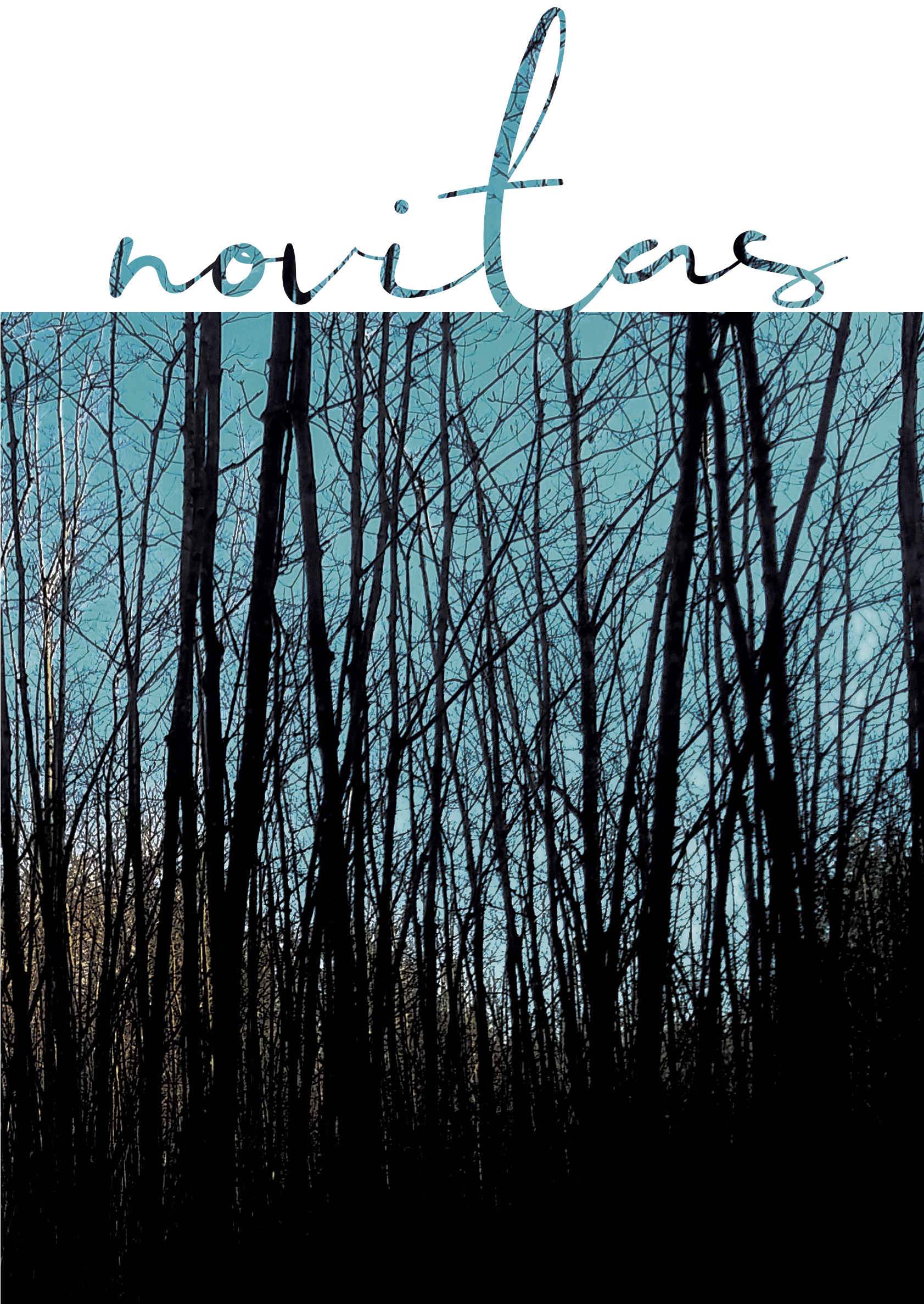Novitas Magazine #2