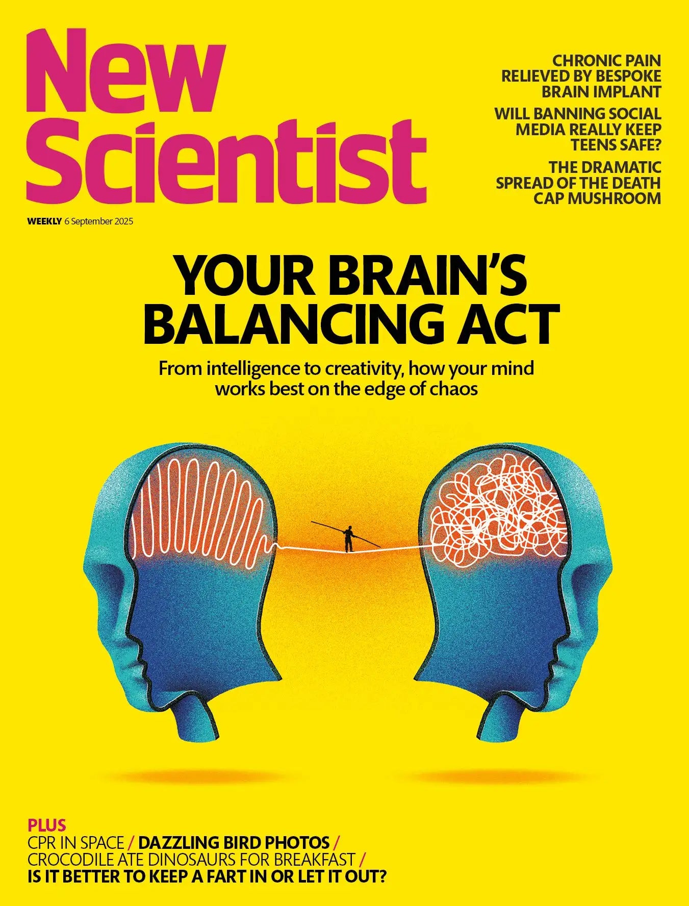 New Scientist, September 6, 2025