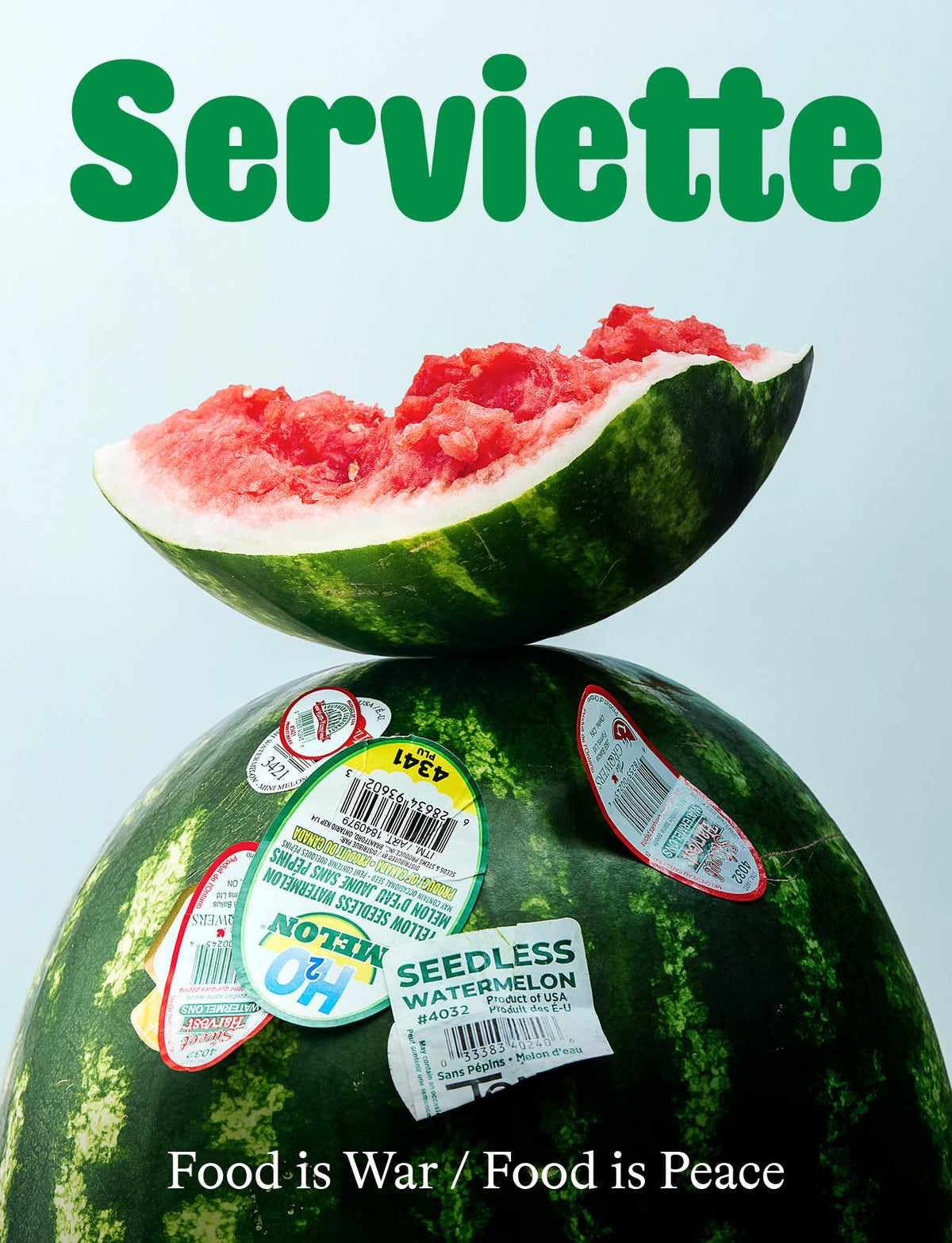 Serviette #9