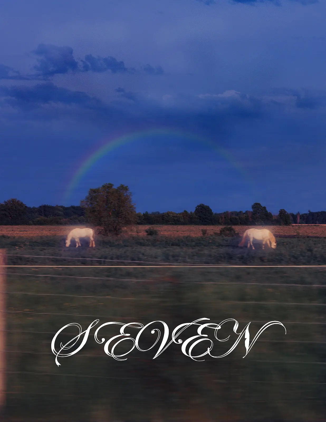 Seven