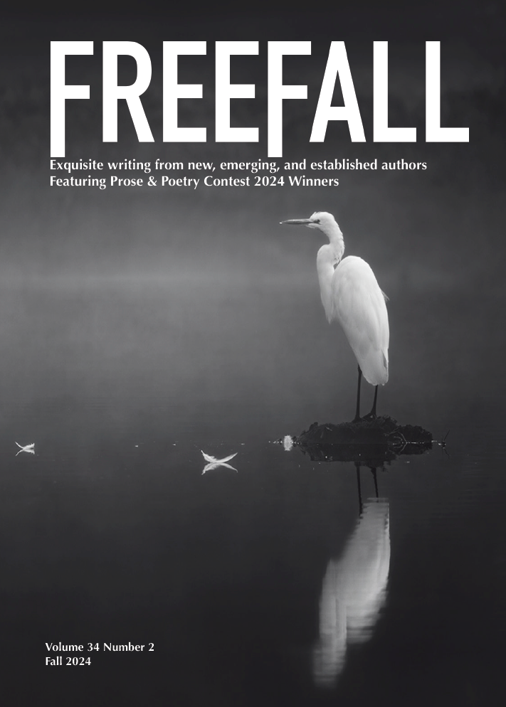 FreeFall Magazine