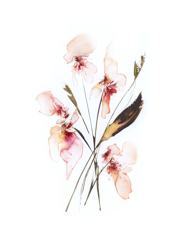 Peach Blooms with Dry Leaf, Original Painting