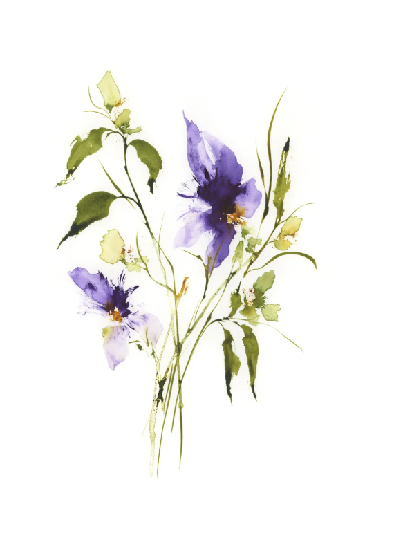Wild Prairie Violets, Original Painting