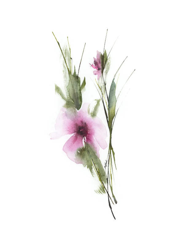 Fuchsia Spray, Study