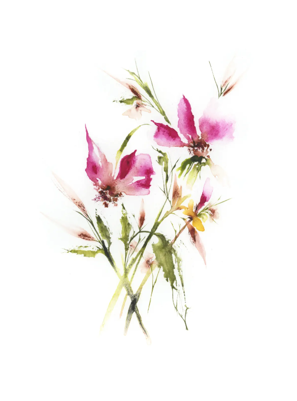 Pink Violets with Fresh Sprigs, Study