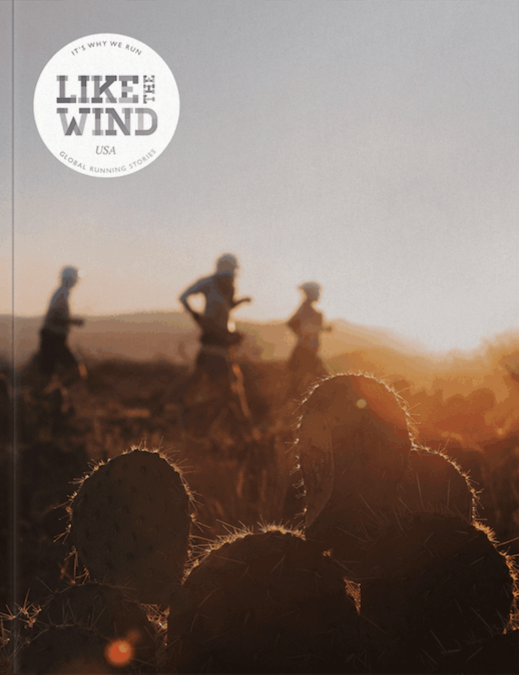 Like The Wind USA #01