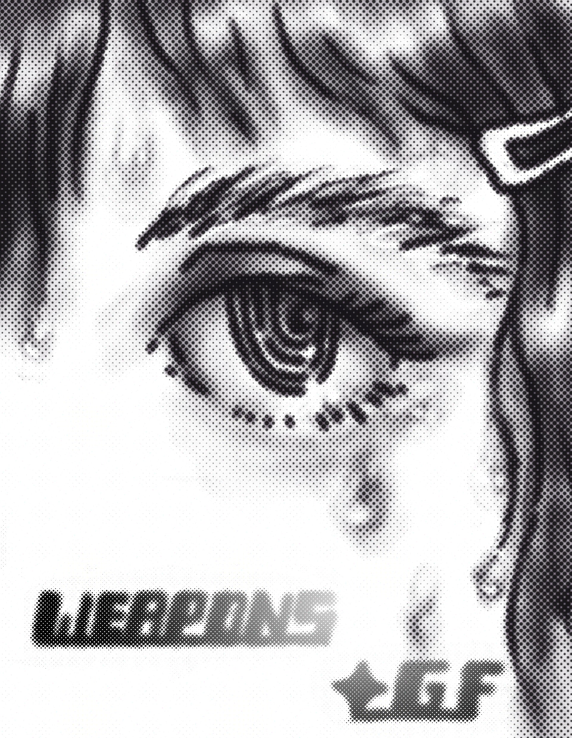 WEAPONSGF
