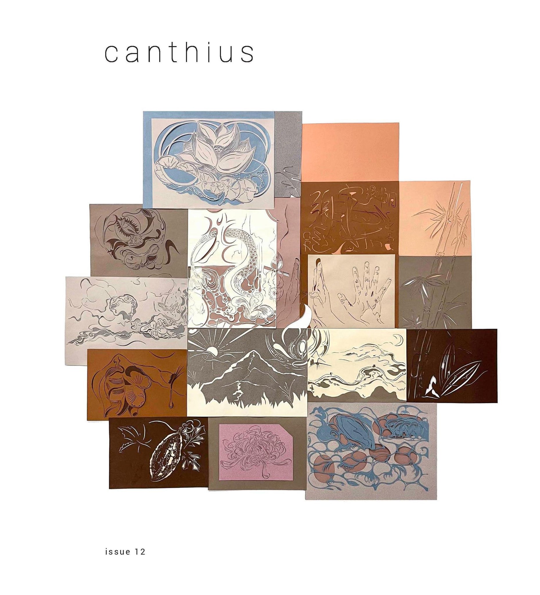 Canthius #12