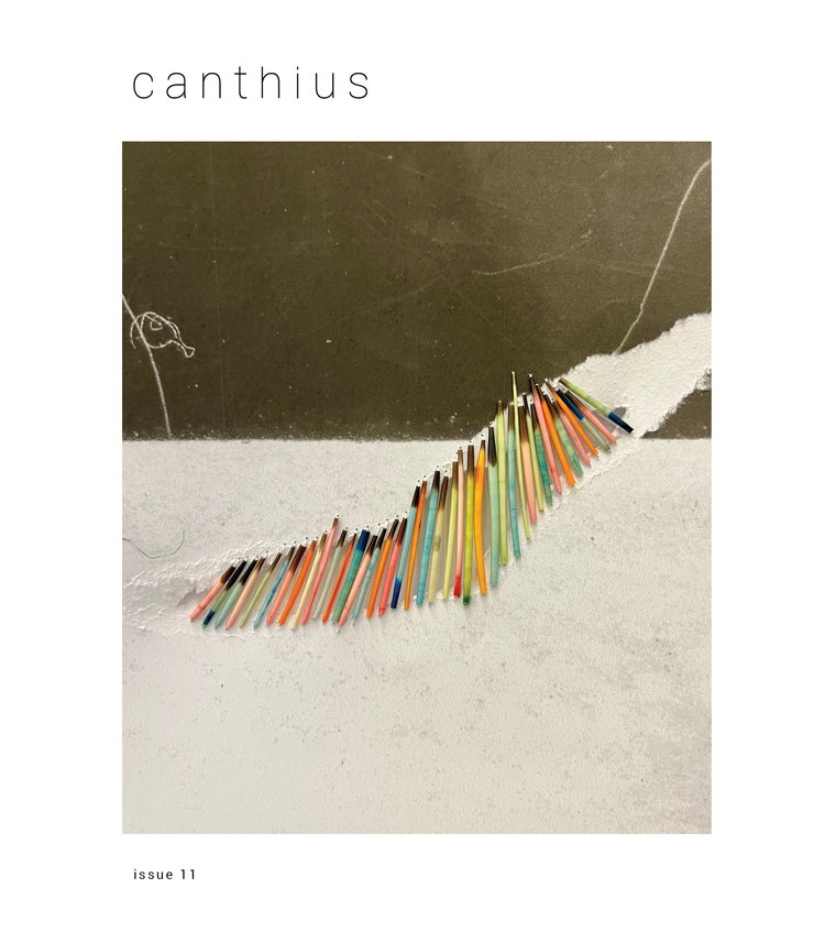 Canthius #11