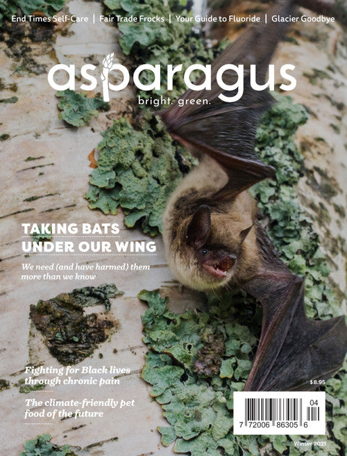 Asparagus Magazine, Winter 2021